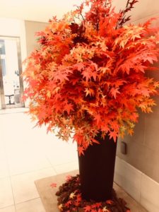 秋、紅葉カラー効果は？